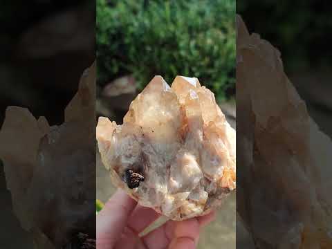 Natural Smokey Citrine Cascading Phantom Crystal Cluster x 1 From Luena, Congo