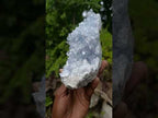 Natural Acicular Ice Blue Celestite Crystal Plate x 1 From Sakoany, Madagascar