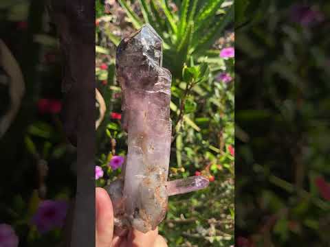 Natural XL Smokey Amethyst Window Quartz Scepter Crystal x 1 From Chiredzi, Zimbabwe