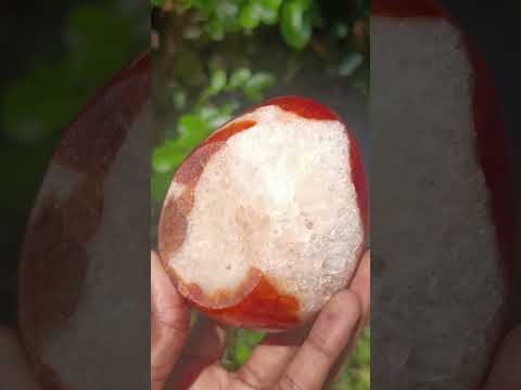 Polished Carnelian Gemstone Ring Patterned Dish x 1 From Madagascar