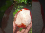Polished Carnelian Gemstone Ring Patterned Dish x 1 From Madagascar