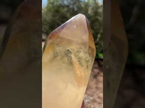 Polished Rare Citrine Quartz Crystal x 1 From Madagascar