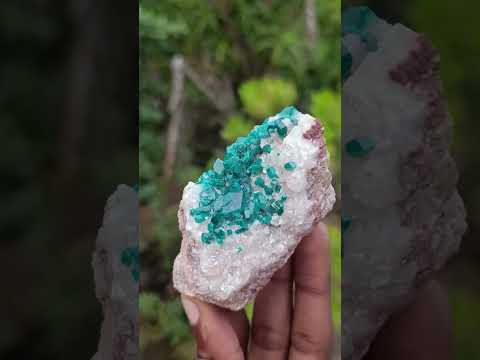 Natural Small Classic Dioptase Specimen on White Calcite and Dolomite Matrix x 1 From Likasi, Congo