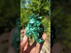 Natural AA Grade Silky Malachite Specimen x 1 From Kasompe, Congo