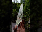 Natural Large Bladed Hiddenite Spodumene Gemmy Crystal x 1 From Afghanistan