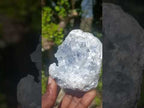 Natural Blue Celestite Vug Specimen x 1 From Sakoany Madagascar