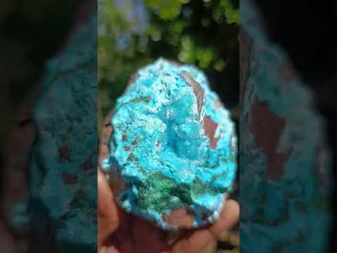 Natural Drusy Coated Chrysocolla with Malachite on a Ferro Dolomite Matrix x 1 From Lupoto Mine, Congo