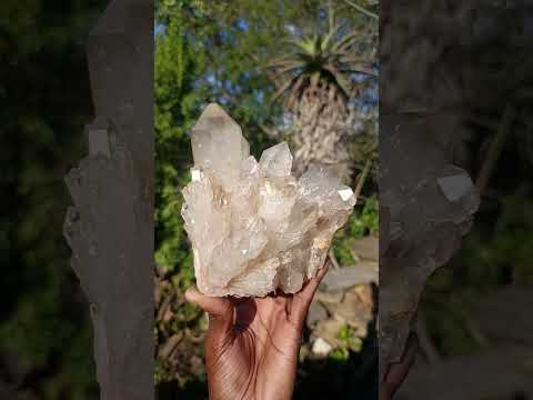 Natural Large Champagne Citrine Quartz Crystal Cluster x 1 From Luena, Congo