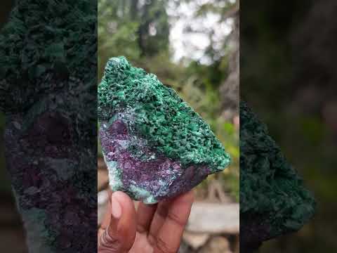 Natural Ultra Rare Cabinet Size Silver and Red Cuprite Specimen with Silky Malachite x 1 From Mashamba West, Congo