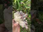 Natural Large Phantom Red Hematoid Quartz Crystal Cluster x 1 From Karoi, Zimbabwe