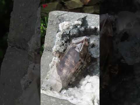 Natural Smokey Window Quartz Crystal On Calcite Vug In Matrix x 1 From Brandberg, Namibia