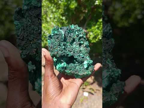 Natural Large 15 cm Velvet Rosette Malachite Specimen x 1 From Kasompe, Congo