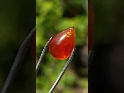 Polished Bright Orange Spessartite Garnet Pear Cut Cabochon x 1 From Sperrgebiet, Namibia