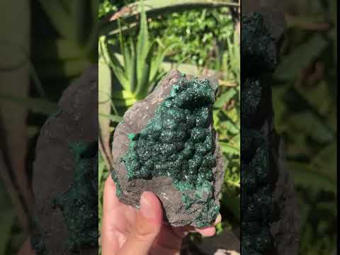 Natural Ball Malachite Specimen on a Dolomite Matrix from Kambove, Congo