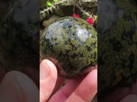 Polished Orbicular Ocean Jasper Sphere x 1 From Madagascar