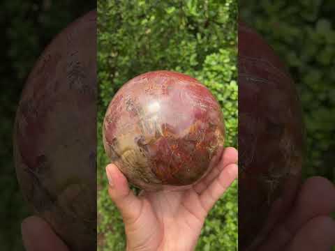 Polished XL Red Podocarpus podocarpus Petrified Wood Sphere x 1 From Mahajanga, Madagascar