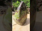 Polished Large Bastite Dragons Blood Stone Standing Free Form x 1 From Tshipise, South Africa