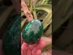 Polished Rare Extra Large Flower Banded Malachite Egg x 1 From Congo