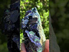 Natural Ultra Rare Large Azurite Crystal Specimen x 1 From Tsumeb, Namibia