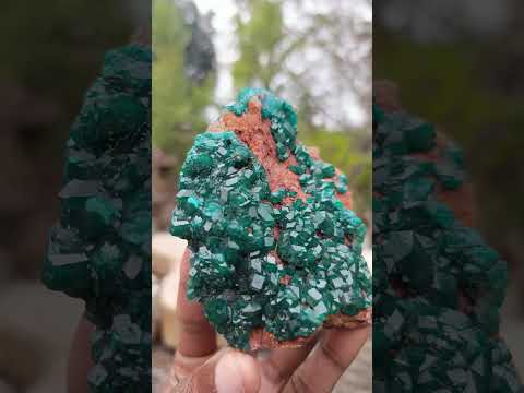 Natural Cabinet Size Dioptase Specimen on a Dolomite Matrix x 1 From Mashamba East Mine, Congo