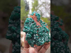 Natural Cabinet Size Dioptase Specimen on a Dolomite Matrix x 1 From Mashamba East Mine, Congo