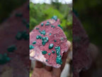 Natural Double Terminated Emerald Green Dioptase Crystals on Copper Dolomite Matrix x 1 From Mashamba East Mine, Congo