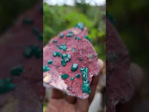 Natural Double Terminated Emerald Green Dioptase Crystals on Copper Dolomite Matrix x 1 From Mashamba East Mine, Congo
