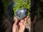 Polished Blue Flash Labradorite Standing Display Piece x 1 From Tulear, Madagascar