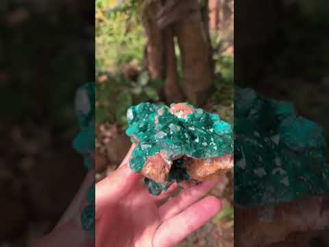 Natural Rare Dioptase Specimen with a Dolomite Matrix x 1 From Likasi, Congo