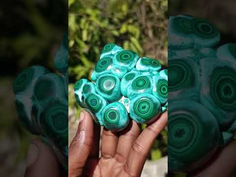 Polished Ring Patterned Malacolla Free Form x 1 From Kulukuluku, Congo