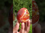 Polished Pair of His and Hers Carnelian Gemstone Eggs x 1 From Madagascar