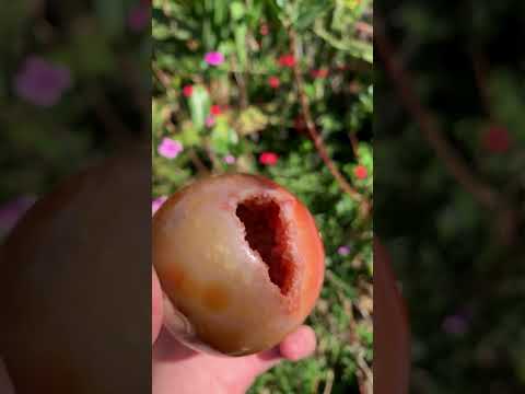 Polished Laughing Carnelian Agate Sphere x 1 From Madagascar