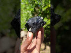 Natural Mirror Shiny Black “Mercedes Star” Schorl Black Tourmaline Single Crystal x 1 From Erongo, Namibia