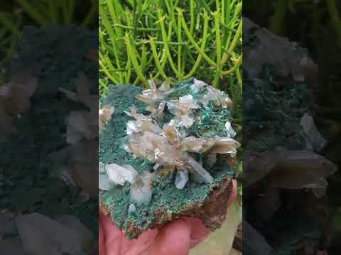 Natural Super Rare Barite Spear Crystals On Malachite Specimen x 1 From Kambove, Congo
