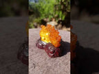 Polished Fossil Amber Carved Sleeping Princess on a Hardwood Base x 1 From Poland