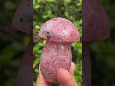 Polished Medium Ultra Rare Rhodonite Mushroom x 1 From Madagascar