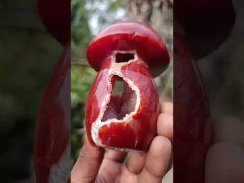 Polished Large Carnelian Gemstone Mushroom x 1 From Madagascar