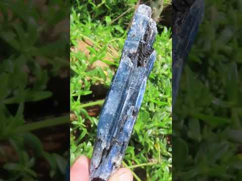 Natural Gemmy Kyanite with Biotite Crystal x 1 From Karoi, Zimbabwe