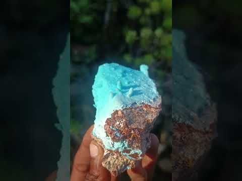 Natural Stalagmitic Drusy Coated Chrysocolla Specimen on Dolomite x 1 From Likasi, Congo