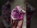Polished and Natural Mixed Set of 20 African Minerals Crystals and Fossil in a Wooden Display Box x 1 From Southern Africa