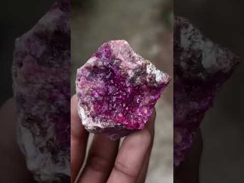 Polished and Natural Mixed Set of 20 African Minerals Crystals and Fossil in a Wooden Display Box x 1 From Southern Africa