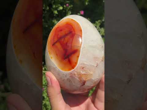 Polished XL Red Spotted Carnelian Gemstone Egg x 1 From Madagascar