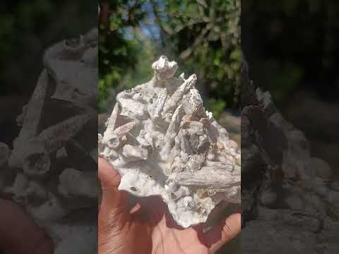 Natural Sceptre Like Fine Drusy Quartz Coated Calcite Specimen x 1 From Albert's Mountain, Lesotho