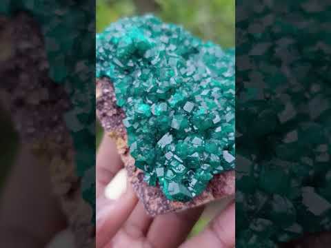 Natural Cabinet Size Dioptase Specimen on a Dolomite Matrix x 1 From Mashamba East, Congo