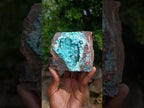 Natural Sparkling Stalagmitic Drusy Coated Chrysocolla with Acicular Malachite x 1 From Lupoto Mine, Congo