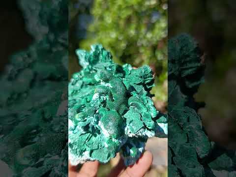 Natural Classic Bladed Malachite Pseudomorph with Associated Minerals Specimen x 1 From Kolwezi, Congo