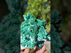 Natural Classic Bladed Malachite Pseudomorph with Associated Minerals Specimen x 1 From Kolwezi, Congo