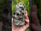 Hand Made Cleoniceras Ammonite Fossil Double Skull Art Carving x 1 From Tulear, Madagascar