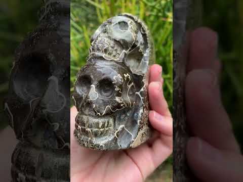 Hand Made Cleoniceras Ammonite Fossil Double Skull Art Carving x 1 From Tulear, Madagascar