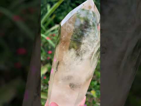 Polished Large Clear Citrine Quartz Crystal x 1 From Madagascar